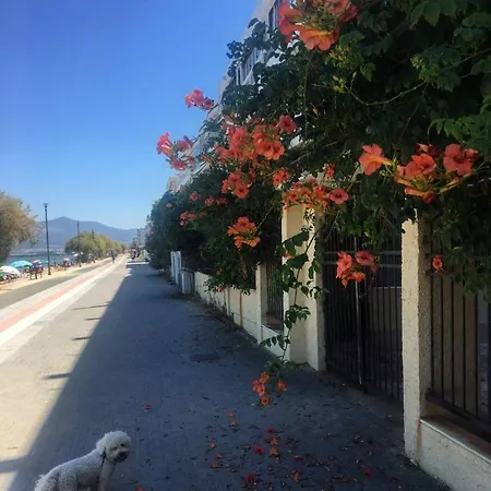 Fancy Διαμέρισμα *